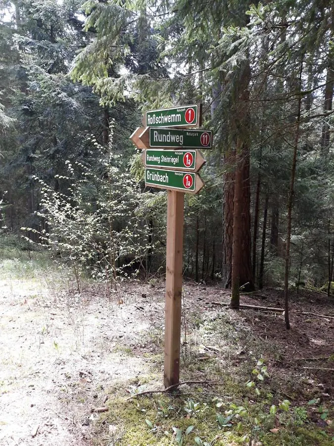 Apartment Anno - Die Wohlfuehl - Idylle In Gruenbach_Kirchdorf Kirchdorf im Wald